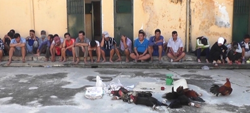 Công an huyện Phú Tân triệt xóa tụ điểm đá gà và bắt giữ 34 người trưa 5/1. (Ảnh: Công an An Giang)