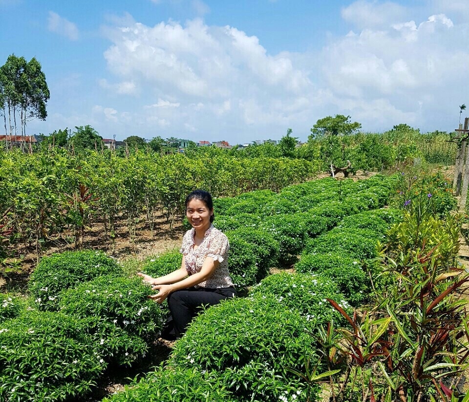 Mô hình trồng hoa, trái cây bốn mùa kết hợp làm du lịch của nông dân xã Quảng Minh (huyện Hải Hà).