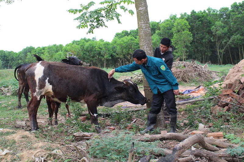 Ngăn chặn nguy cơ bùng phát dịch bệnh trên diện rộng