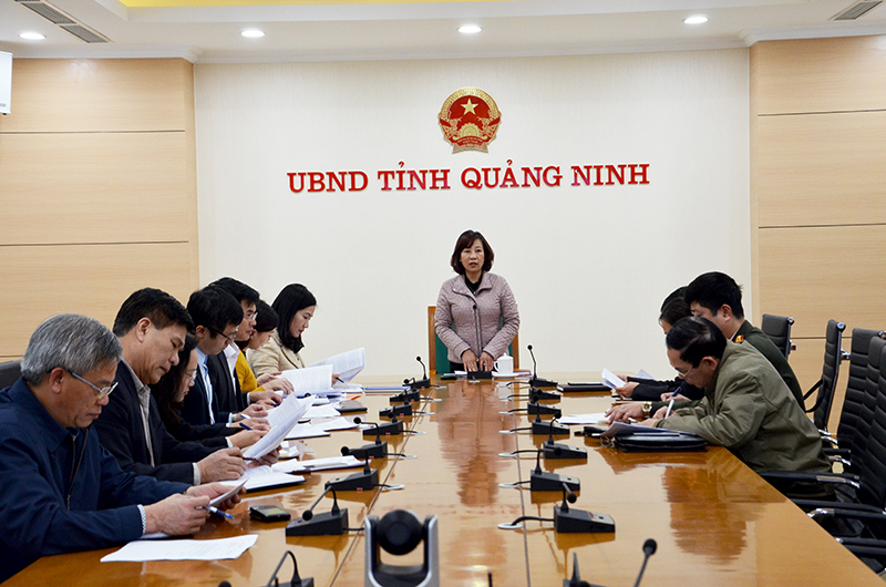 Đồng chí Vũ Thị Thu Thủy, Phó Chủ tịch UBND tỉnh phát biểu chỉ đạo tại cuộc họp.
