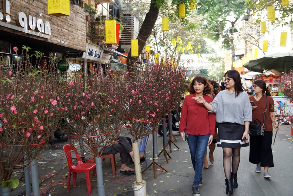 Khác với những chợ hoa lớn khác ở Hà Nội, chợ hoa Hàng Lược mang đậm phong vị đầy hoài niệm của Tết xưa, do vậy cứ vào mỗi dịp Tết đến, xuân về là chợ hoa này trở nên tấp nập. Ảnh Gia Hân