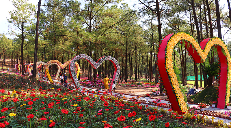 Công viên hoa Yen Trung lake e ấp dưới tán rừng thông thơ mộng