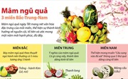 Mâm ngũ quả 3 miền Bắc - Trung - Nam