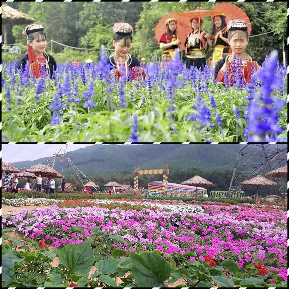 Thung lũng hoa Yên Tử với nhiều loại hoa đẹp đã thu hút đông đảo nhân dân trên địa bàn và du khách gần xa đến thưởng ngoạn