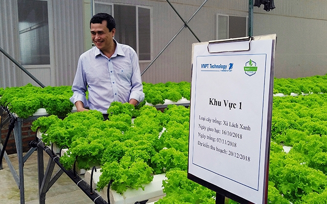 Khu trồng cây nông nghiệp ứng dụng các giải pháp công nghệ thông minh của VNPT tại Khu công nghệ cao Hòa Lạc.