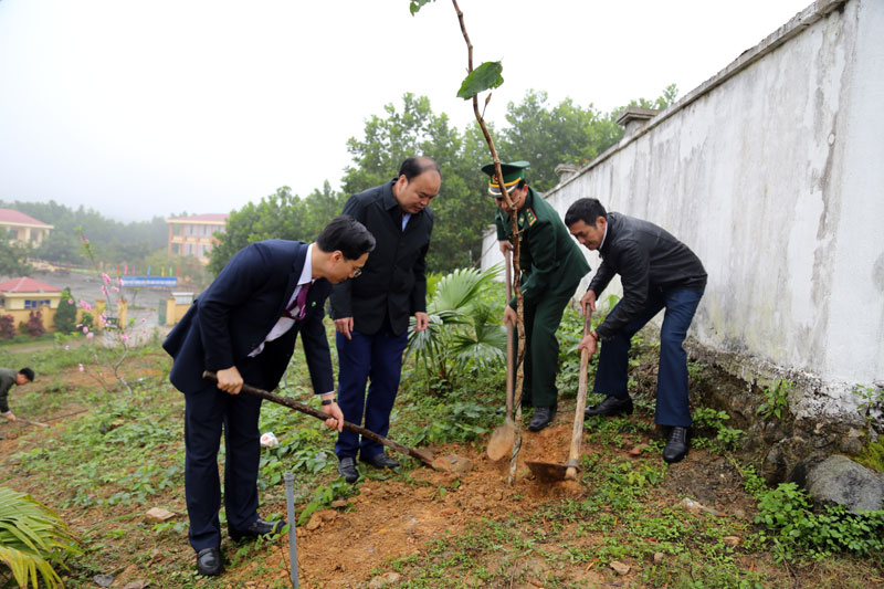 Hưởng ứng Tết trồng cây Đời đời nhớ ơn Bác Hồ, xã Quảng Đức đã trồng 350 cây ban tím, cây vàng anh.