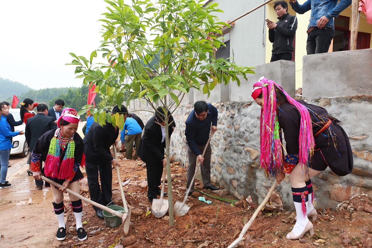 Lãnh đạo huyện Tiên Yên cùng người dân thôn Khe Lẹ, xã Hà Lâu hưởng ứng Tết trồng cây.