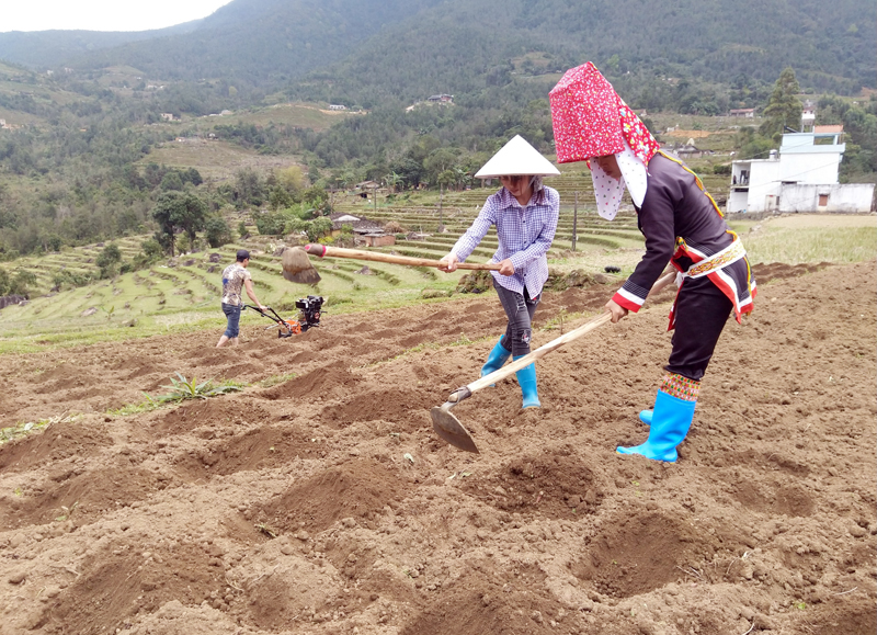 Tại bản Sông Moóc A, xã Đồng Văn, nhiều bà con nông dân đã tranh thủ thời tiết thuận lợi ra đồng chuẩn bị gieo trồng ngô, lạc