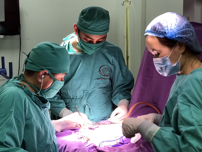 Y, bác sĩ Bệnh viện Sản – Nhi thực hiện ca phẫu thuật nhi khoa. Ảnh: Quang Khiêm (Bệnh viện Sản – Nhi tỉnh)  