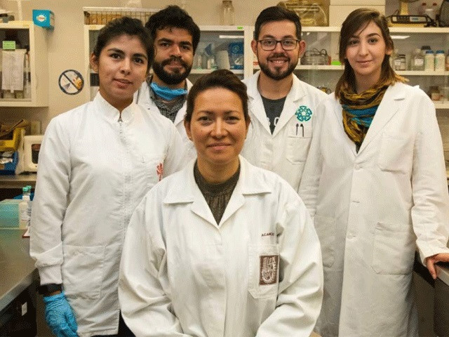 Tiến sĩ Eva Romon Gallegos cùng nhóm nghiên cứu tại Trường Khoa học sinh học quốc gia của Mexico. Ảnh: Timesnownews.