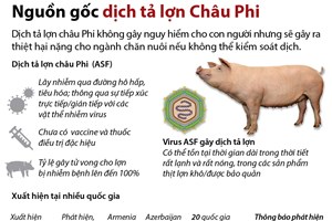 Nguồn gốc dịch tả lợn Châu Phi