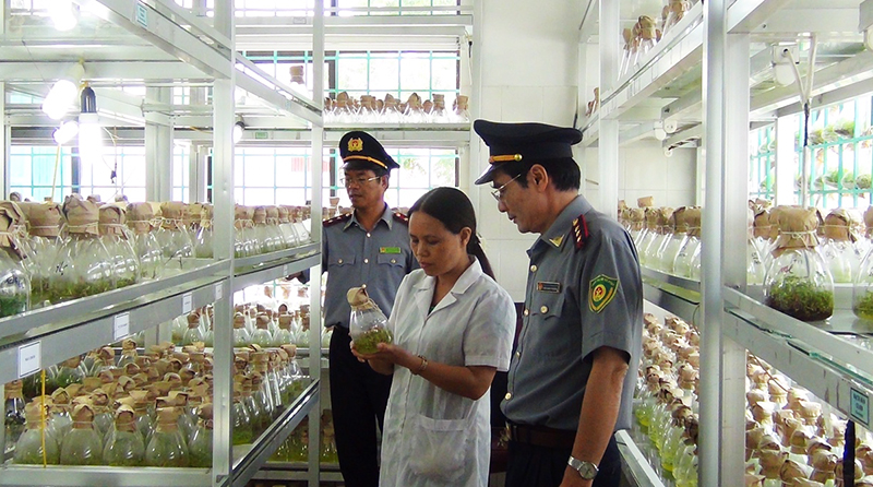 Các đơn vị chức năng kiểm tra công tác nhân giống cây nông nghiệp 