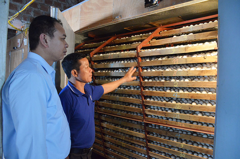 Lãnh đạo TX Quảng Yên kiểm tra chương trình xây dựng nông thôn mới của TX Quảng Yên đã thu hút được sự chung tay tích cực của người dân. Trong ảnh: Lãnh đạo xã Cẩm La thăm mô hình sản xuất trứng vịt của người dân trên địa bàn.