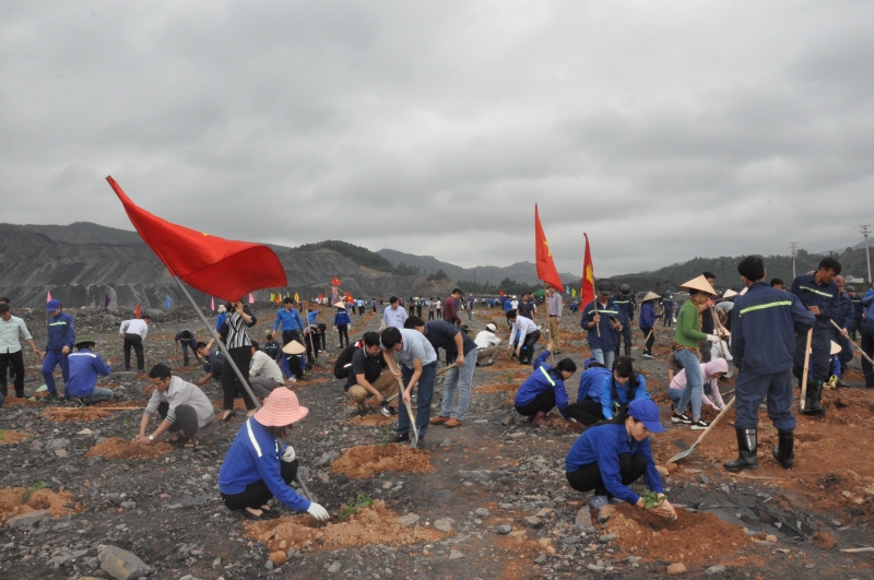 Hơn 300 CBCNVLĐ của Công ty CP than Núi Béo tham gia phát động tết trồng cây.