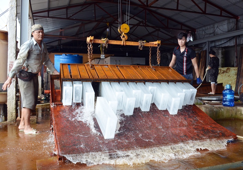 Sản xuất đá để cung cấp cho các tàu khai thác thủy sản của Công ty CP Xuất nhập khẩu thủy sản Hải Hà (xã Phú Hải, huyện Hải Hà)