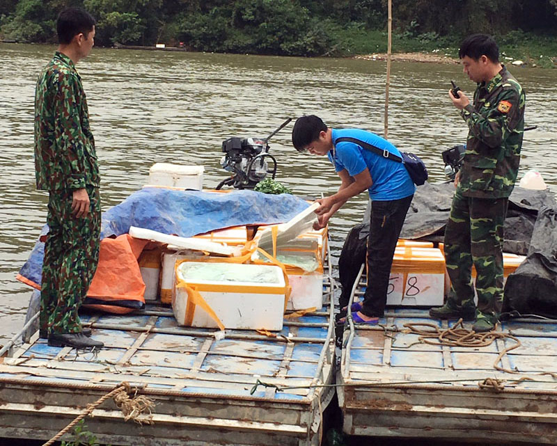Đối tượng Vương Văn Vinh cùng tang vật là 1020 kg cá đối bốc mùi hôi thối bị CBCS Đồn Biên phòng Bắc Sơn bắt giữ ngày .