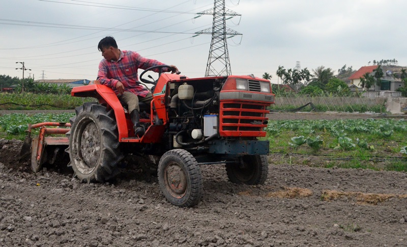 Áp dụng khoa học công nghệ vào sản xuất rau an toàn của HTX Nông nghiệp Hương Việt (TP Uông Bí)