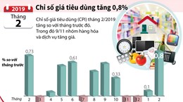 Chỉ số giá tiêu dùng tháng 2 tăng 0,8%