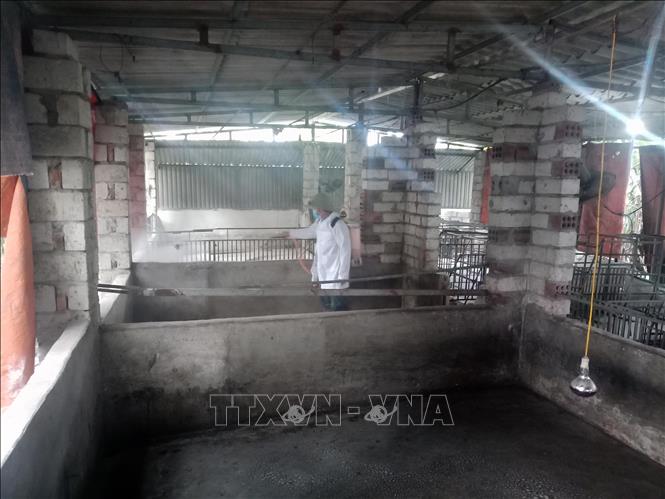 Lực lượng chức năng phun hóa chất tẩy rửa khu vực chuồng trại lợn.