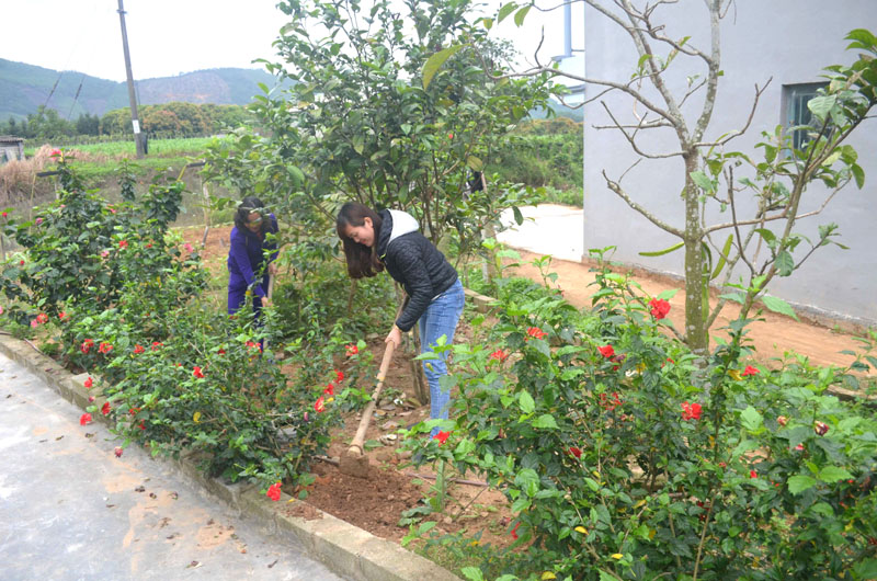 Thôn Lò Vôi, xã Nam Sơn, huyện Ba Chẽ là nơi phụ nữ đầu trồng hoa ở Ba Chẽ