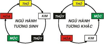 Thuyết âm dương ngũ hành trong đông y