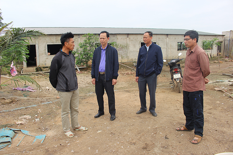 Lãnh đạo TX Quảng Yên trực tiếp kiểm tra tại cơ sở chăn nuôi của hộ gia đình anh Đinh Xuân Thành, thôn 5, xã Sông Khoai.
