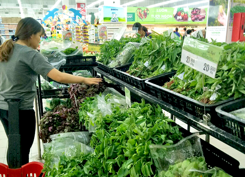 Người dân mua rau sạch tại Siêu thị Big C Hạ Long