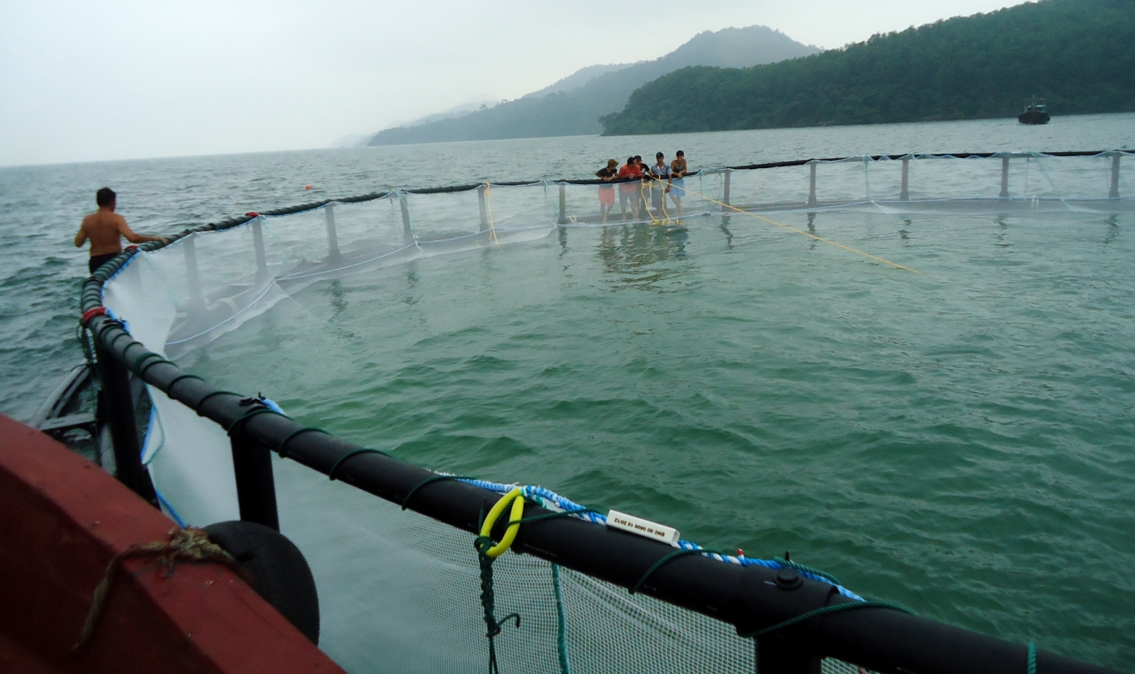 Mô hình lồng nuôi cá biển làm bằng vật liệu bền vững tại xã Đầm Hà, huyện Đầm Hà