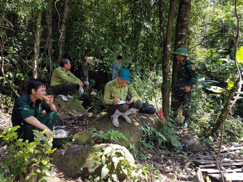 Huyện Hải Hà tiến hành rà soát, triển khai thực hiện Đề án giao đất, giao rừng trên địa bàn huyện.