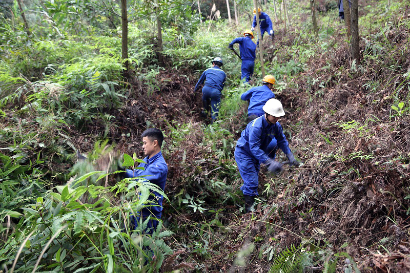 Tuổi trẻ Công ty CP Than Vàng Danh – Vinacomin tích cực tham gia trồng cây, gây rừng để bảo vệ môi trường. Ảnh: Quang Minh