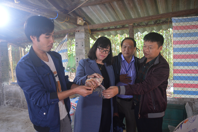 Đoàn đến thăm mô hình chăn nuôi gà tại xã Minh Cầm. 