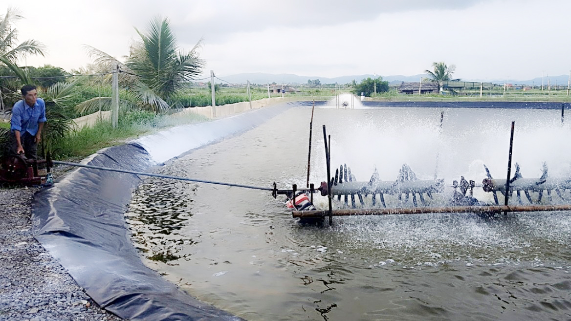 Ngư dân Hà An, TX Quảng Yên, được vận động chuyển đổi nghề từ khai thác thủy sản ven bờ sang nuôi trồng thủy sản. 