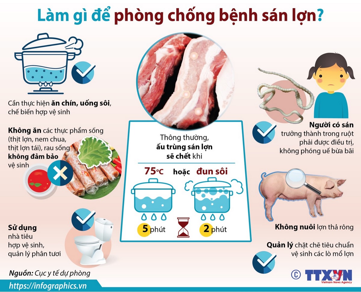 Làm gì để phòng chống bệnh sán lợn?