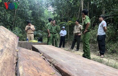 Lực lượng công an huyện M’Đrắk, tỉnh Đắk Lắk phát hiện số gỗ các đối tượng khai thác trái phép.