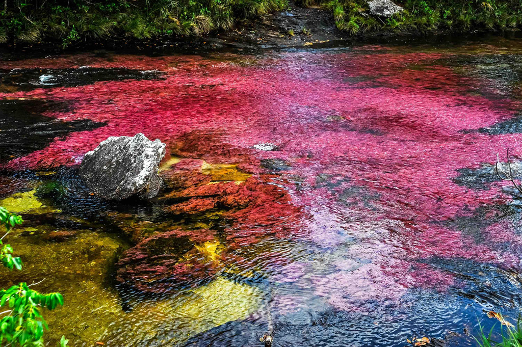  Tọa lạc ở phía đông dãy Andes và thuộc công viên quốc gia Macarena (Colombia), sông Cano Cristales dài 100 km và là một nhánh của sông Guayabero. Vào những tháng nhất định trong năm, dòng sông này sẽ mang những màu sắc khác nhau, từ đỏ, vàng, lục, lam đến đen.