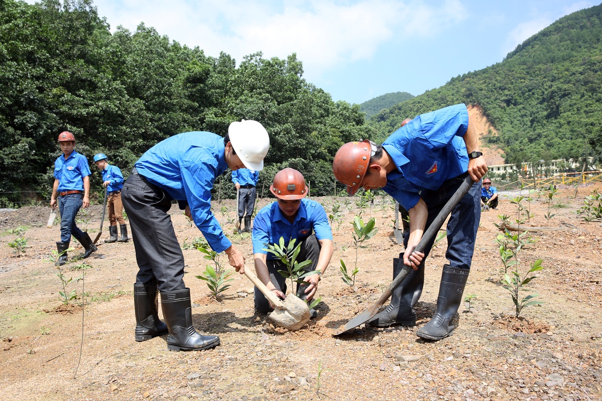 ĐVTN Công ty 91 tích cực tham gia trồng cây xây đảm bảo môi trường xanh-sạch-đẹp tại đơn vị.