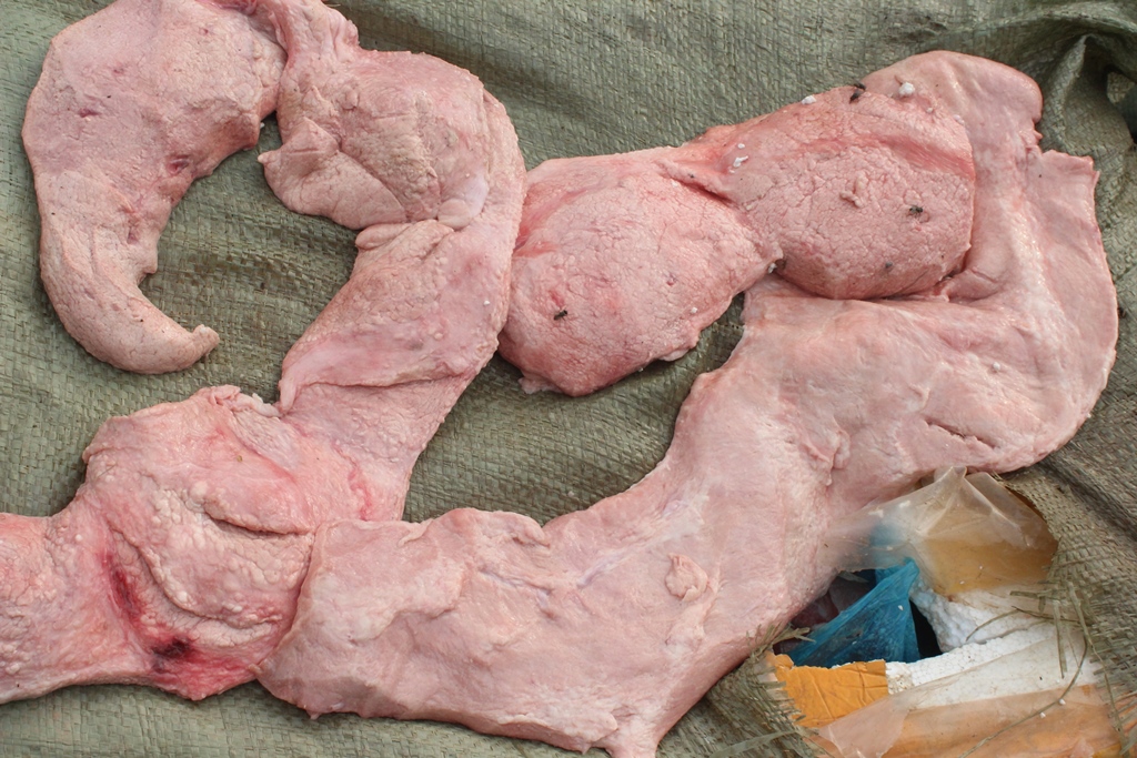 1.620 kg nầm lợn nhập lậu không rõ nguồn gốc, xuất xứ, không đảm bảo vệ sinh an toàn thực phẩm.