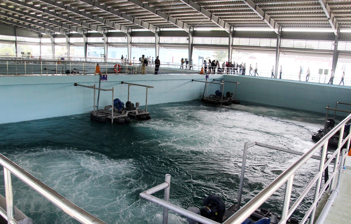 Hệ thống xử lý nước thải tại Nhà máy xử lý nước thải Dĩ An. (Ảnh minh họa: Nguyễn Văn Việt/TTXVN)