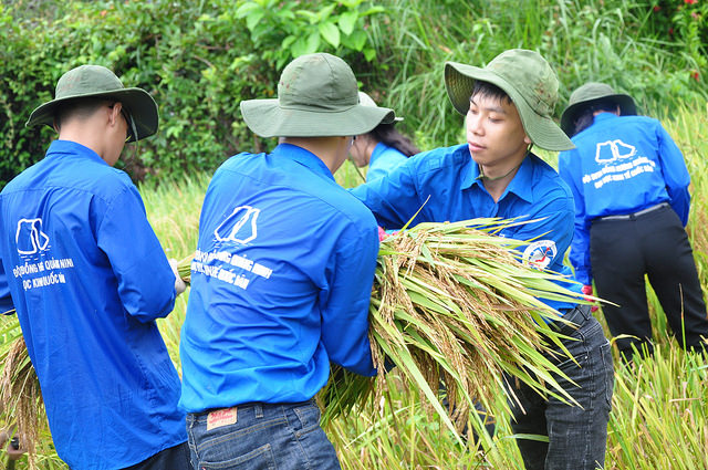 Giúp người dân gặt lúa và xây dựng con đường dân sinh tại huyện Thanh Lâm, Ba Chẽ trong chiến dịch Mùa hè xanh