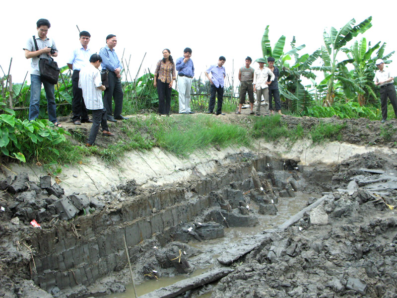  Các nhà nghiên cứu thuộc Hội Khoa học lịch sử Việt Nam, Viện Khảo cổ học bên hiện trường khai quật di tích bãi cọc đồng Má Ngựa, tháng 5/2010.