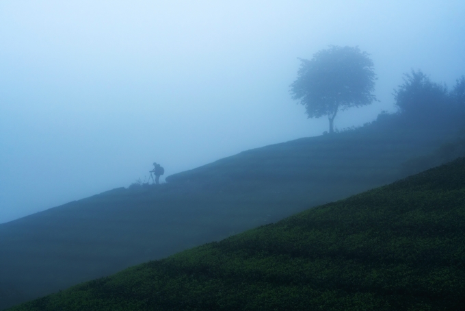 Một nhiếp ảnh gia tác nghiệp trong làn sương mờ tại khu vực đồi chè Long Cốc, Phú Thọ.