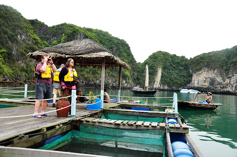 Du khách quốc tế khám phá, trải nghiệm trên bè nuôi trồng hải sản của ngư dân.