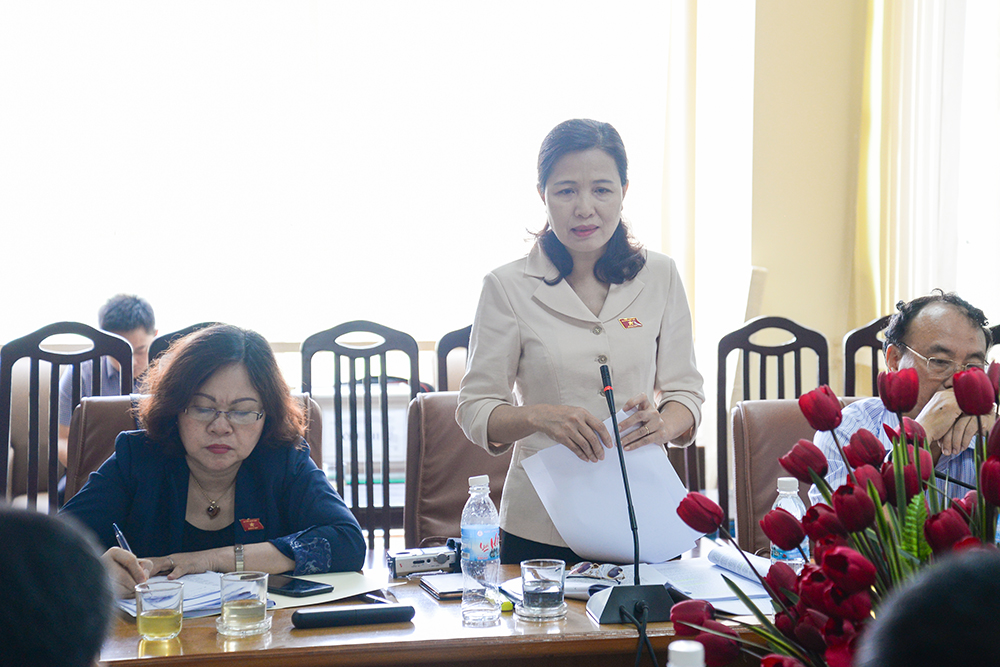 Đồng chí Đỗ Thị Lan - Trưởng đoàn ĐBQH tỉnh kết luận buổi làm việc