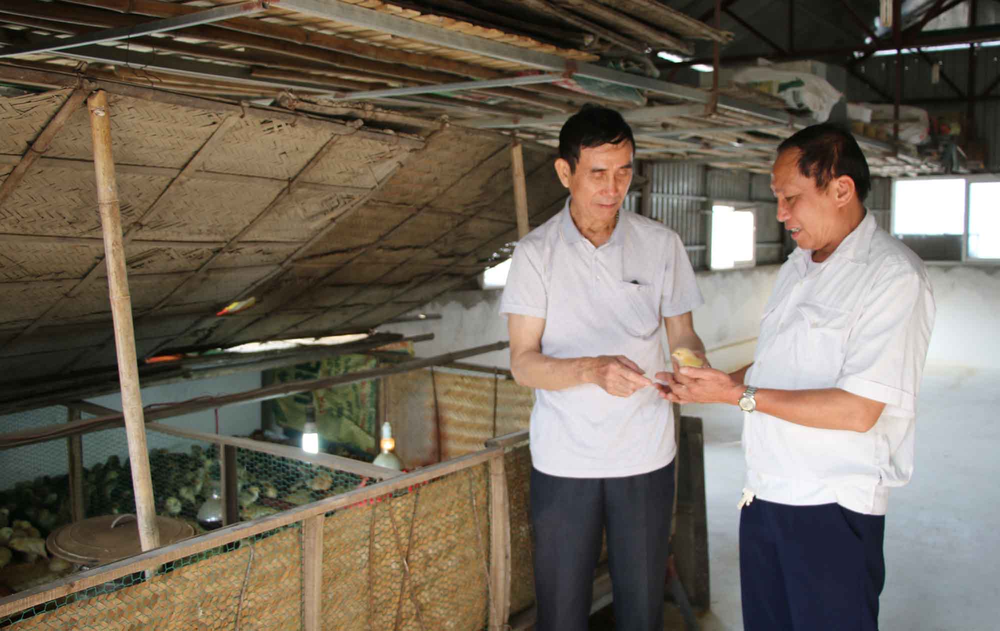 Ông Bùi Hữu Quỳnh (bên phải) thăm mô hình sản xuất của cựu chiến binh trong phường.
