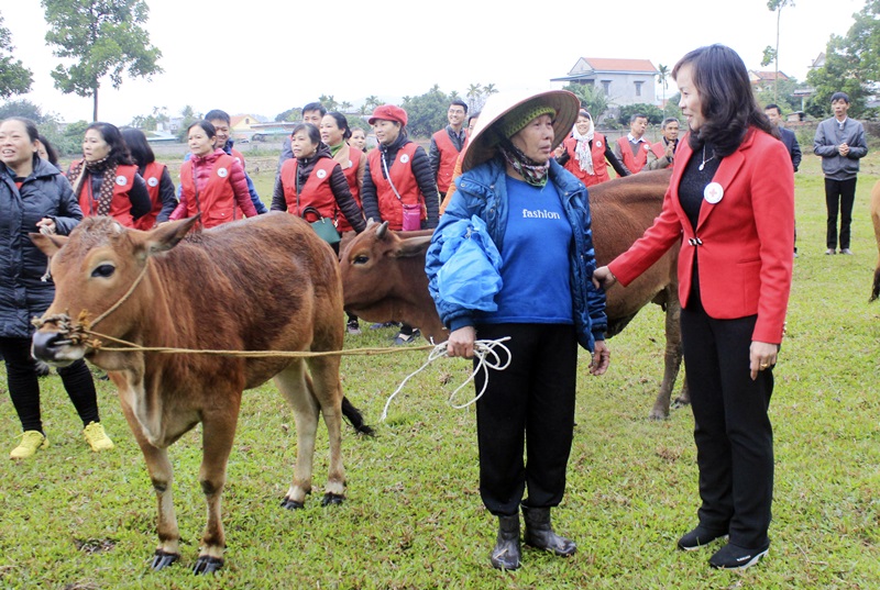 Bà Phí Thị Chỉ, Phó Chủ tịch Thường trực Hội CTĐ tỉnh trao con bò giống cho bà Nguyễn Thị Miền hộ gia đình hoàn cảnh khó khăn ở xã An Sinh (TX Đông Triều) 