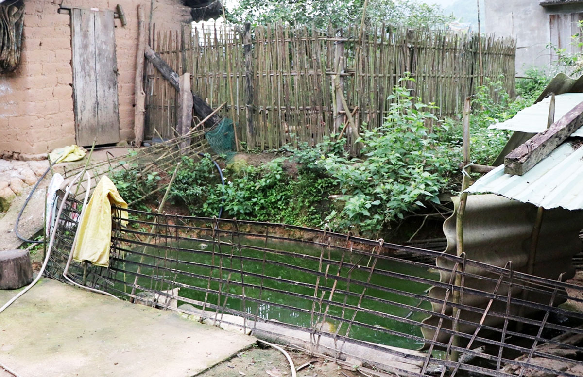 Tuy nhiên công trình nhà ở diện tích nhỏ, một hộ dân đã phải tận dụng diện tích sân để tạo một hố nước dành nuôi vịt