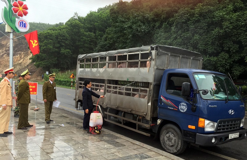 Lực lượng QLTT huyện Vân Đồn tham gia KTKS tại chốt kiểm dịch tại địa phương. 