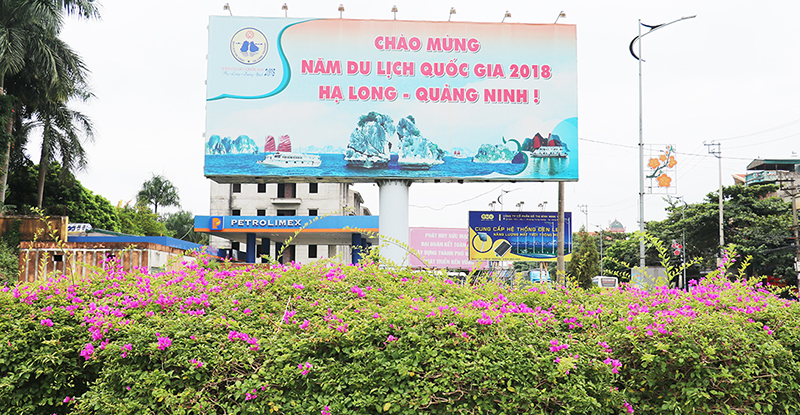 Đặc biệt từ năm 2018 đến nay, TP Uông Bí phát động phong trào trồng hoa giấy để tạo điểm nhấn đô thị