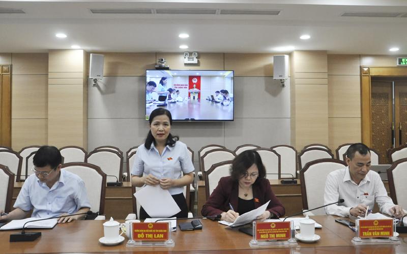 . Đồng chí Đỗ Thị Lan, Trưởng Đoàn ĐBQH tỉnh phát biểu tại buổi làm việc