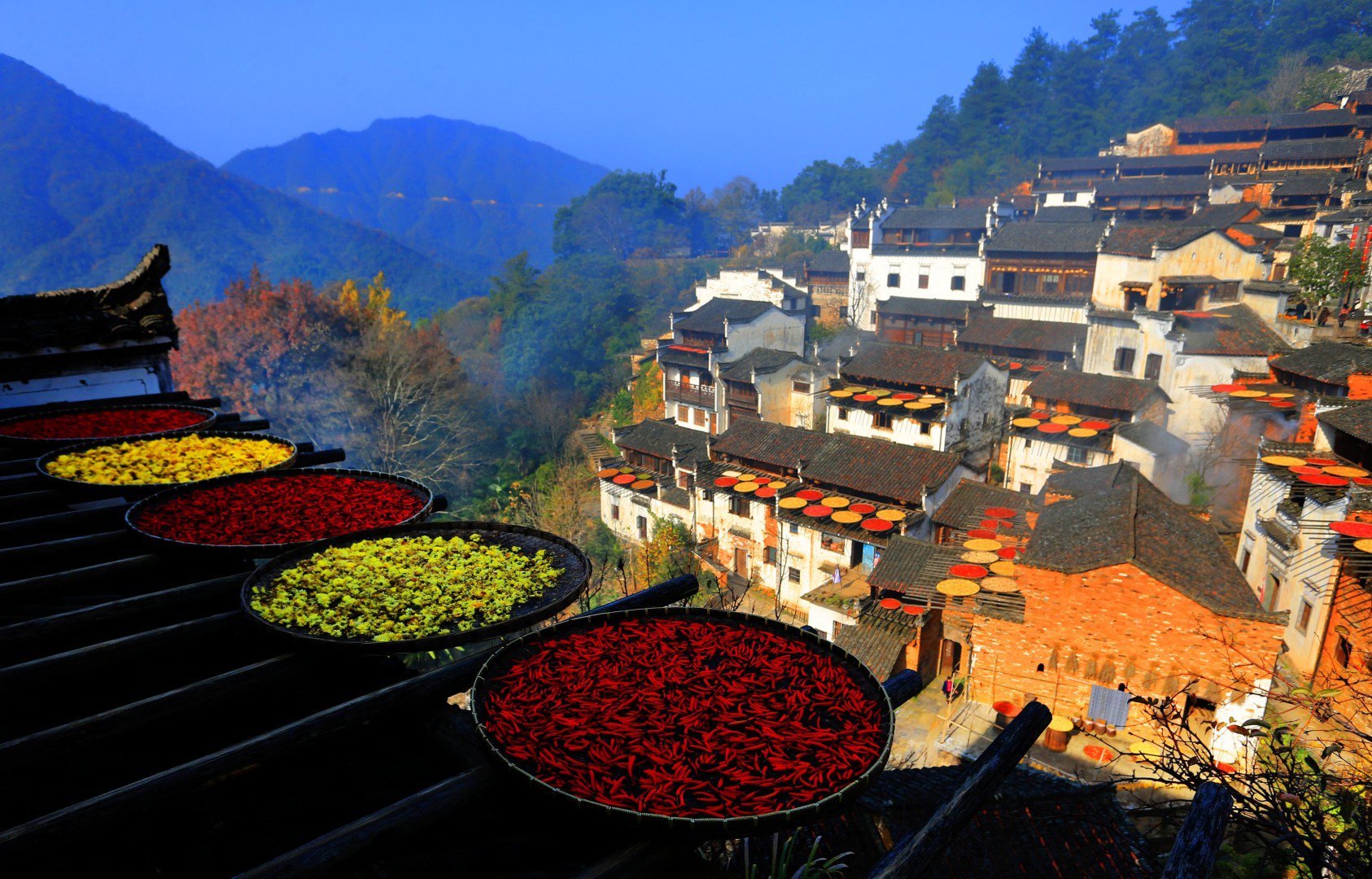 Vẻ đẹp đầy sắc màu của ngôi làng cổ Huangling ở huyện Vụ Nguyên (tỉnh Giang Tây) khi người dân phơi khô một số sản phẩm mùa màng như ớt, ngũ cốc... trên mái nhà. Ảnh: Xinhua